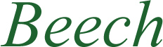 Beech Logo