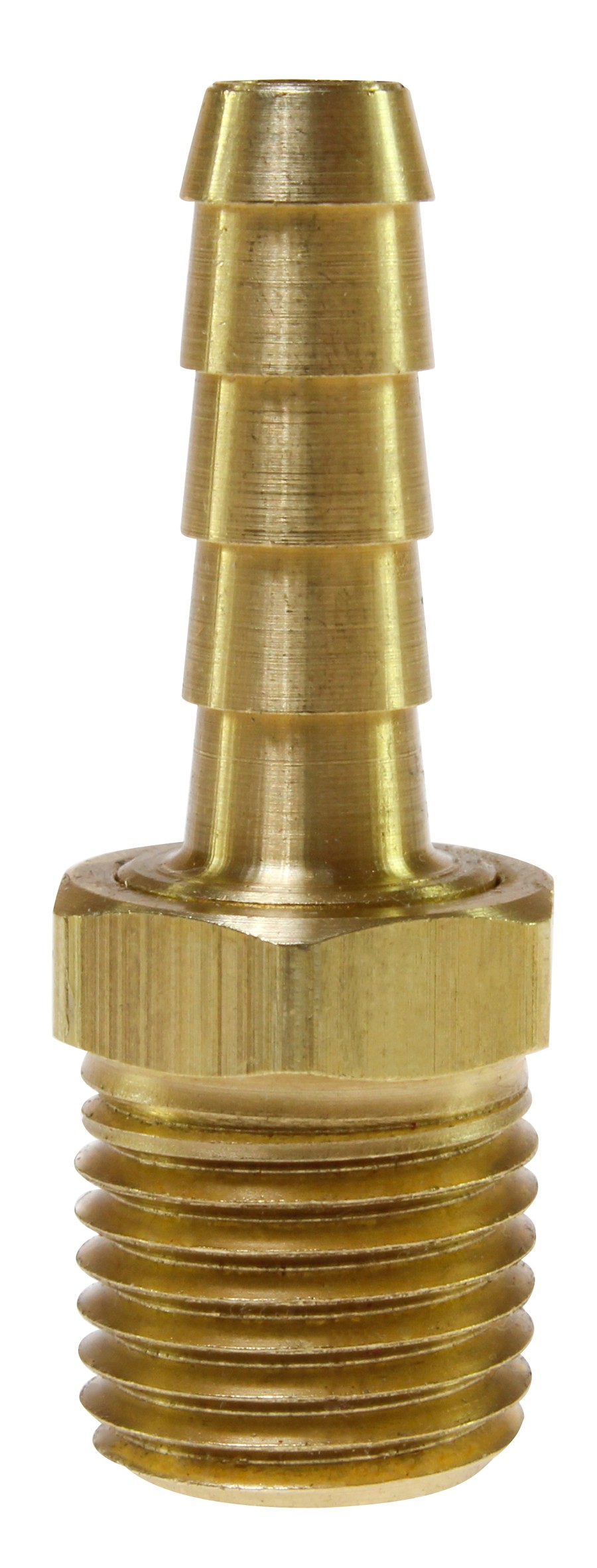 CO B1208 BRASS HOSE BARB, 3/4" ID X 1/2" MPT