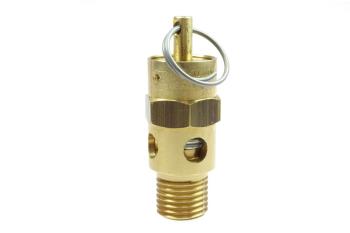 CO SV100 ASME-Approved Relief Valves 100 PSI