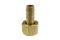 CO F0304 Swivel Hose Barb, 3/16" ID x 1/4" FPT