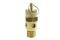 CO SV100 ASME-Approved Relief Valves 100 PSI