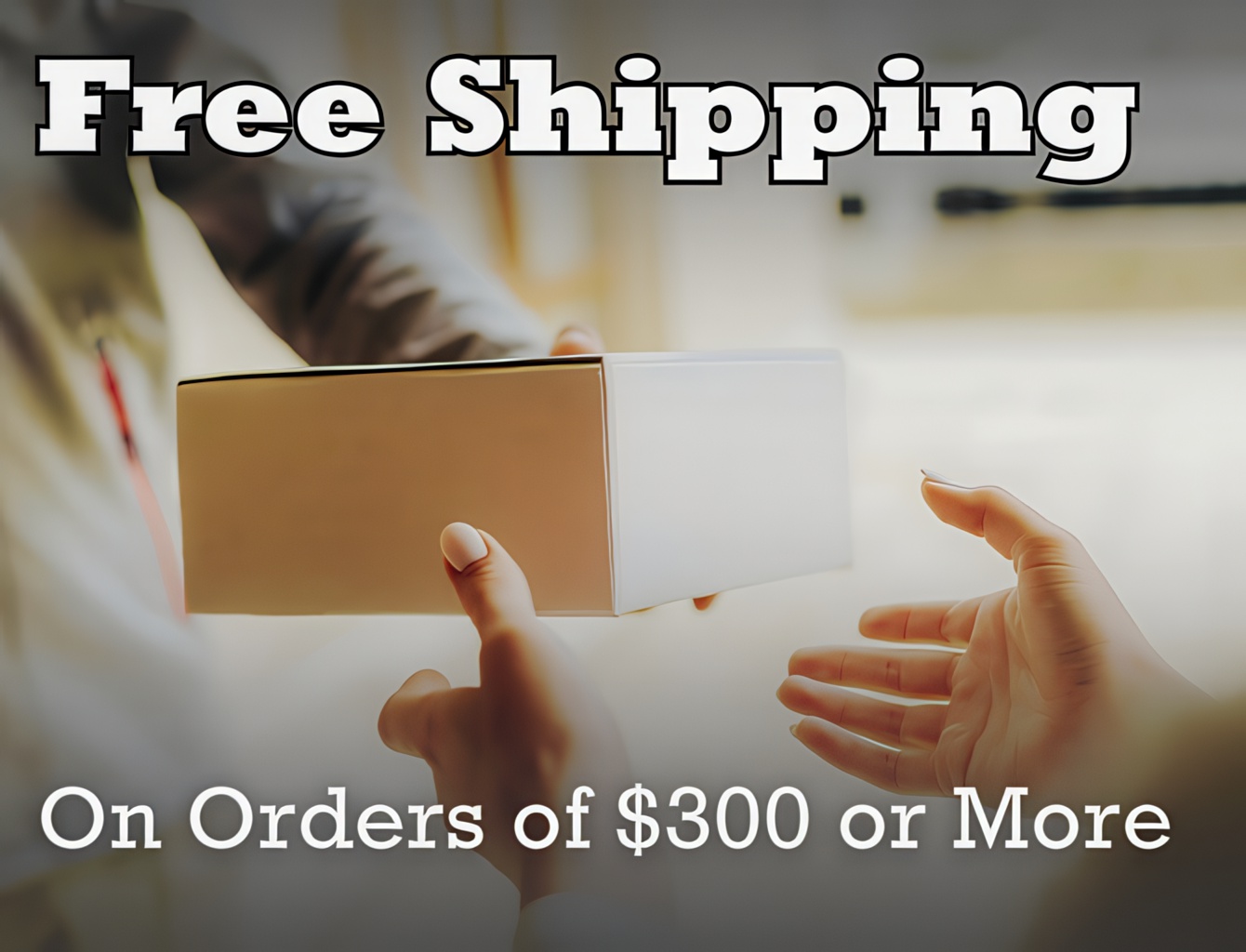 Free Shipping Over $300